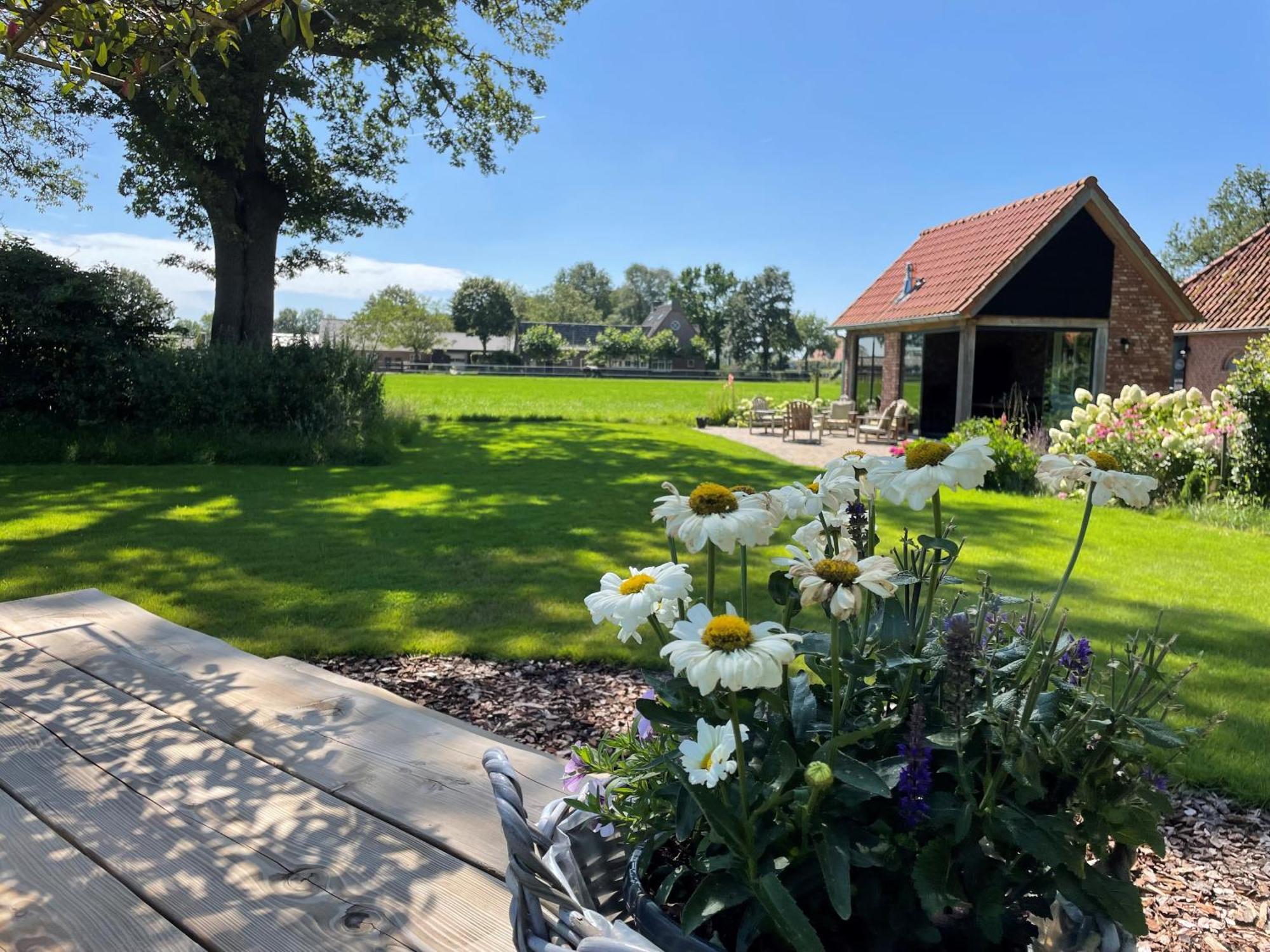 Domestico Bed & Breakfast Lage Mierde Экстерьер фото